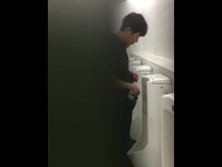 Japanese toilet spy